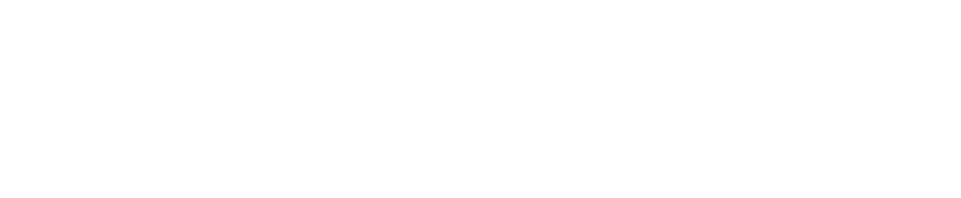 Springbig
